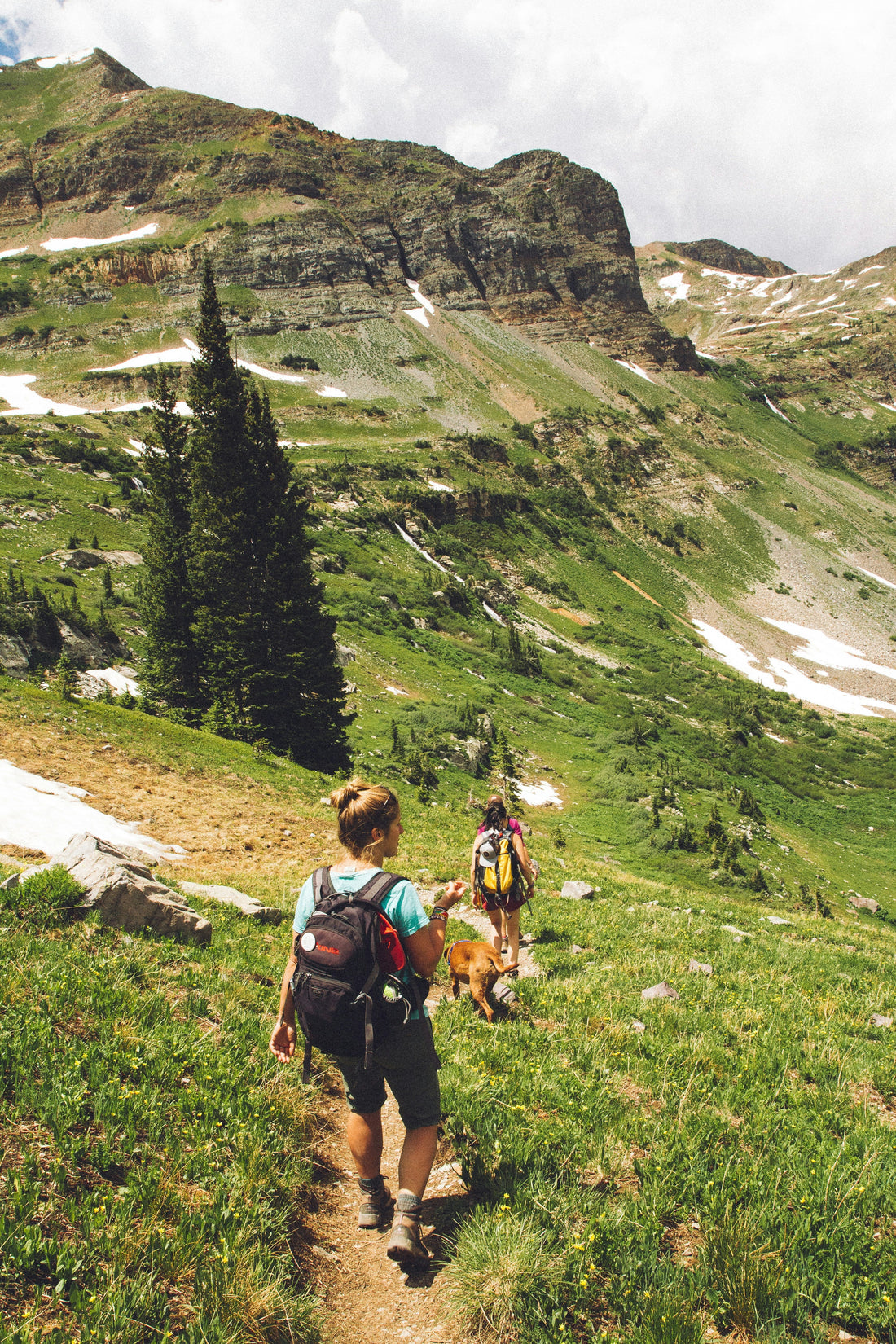 How Epigenetics Shapes Your Training Response