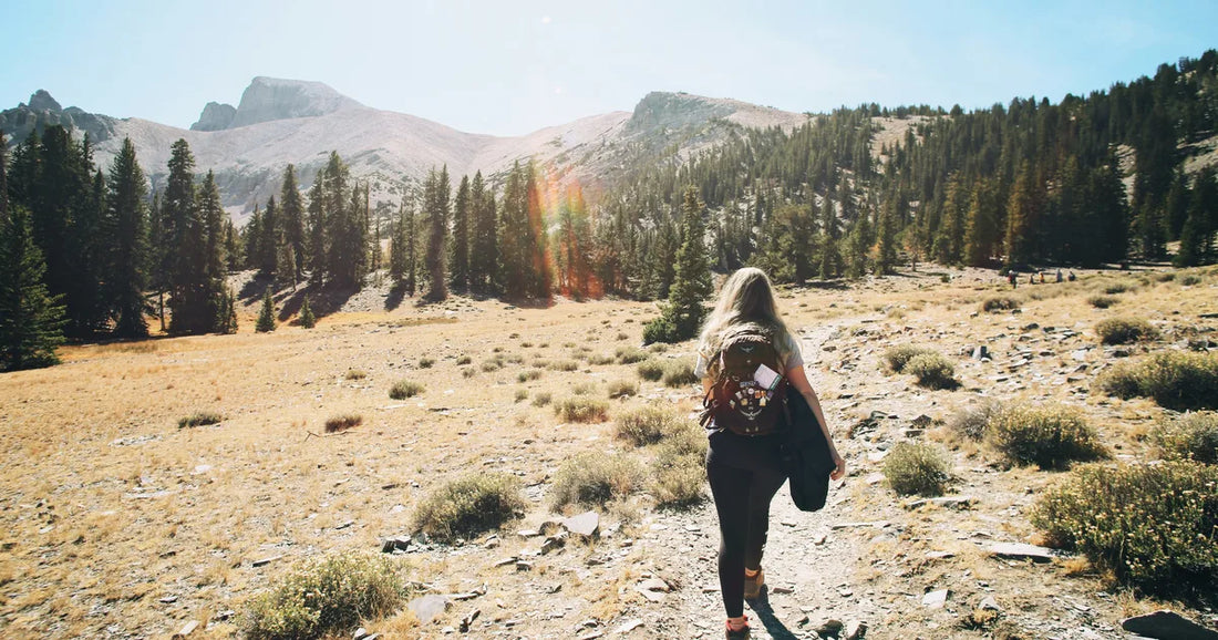 Woman hiking a mountain trail, seen from behind